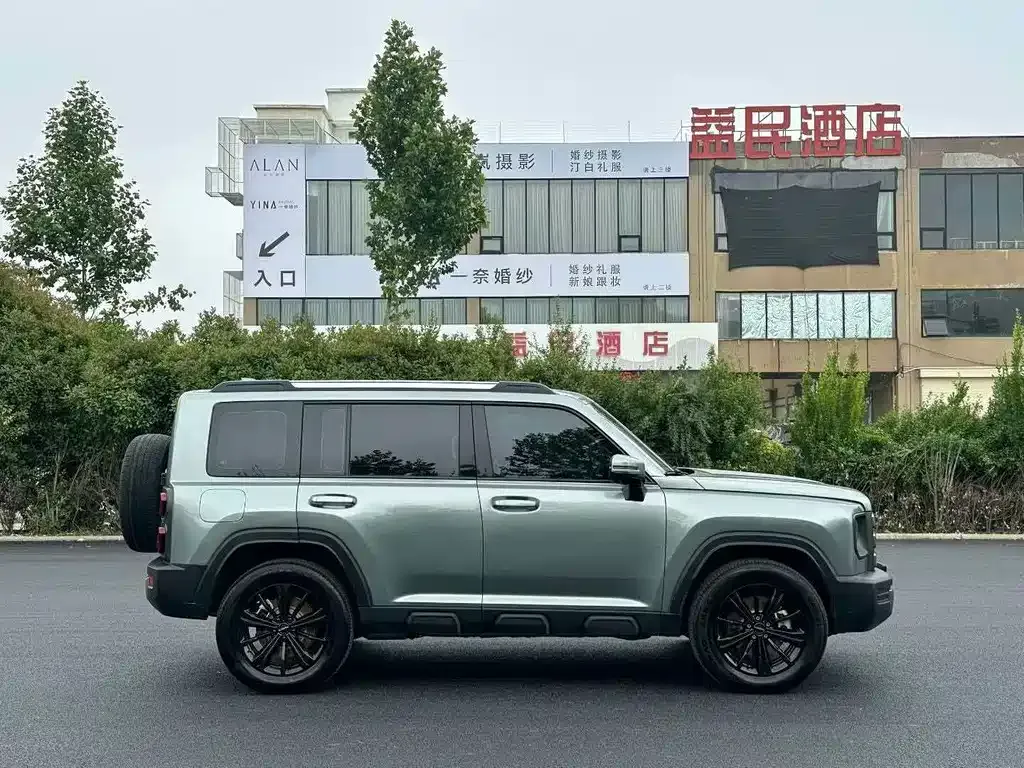 Haval Menglong New Energy 2024 из CN, фото 7