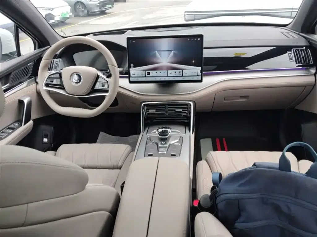 BYD Tang New Energy 2025 из CN, фото 10