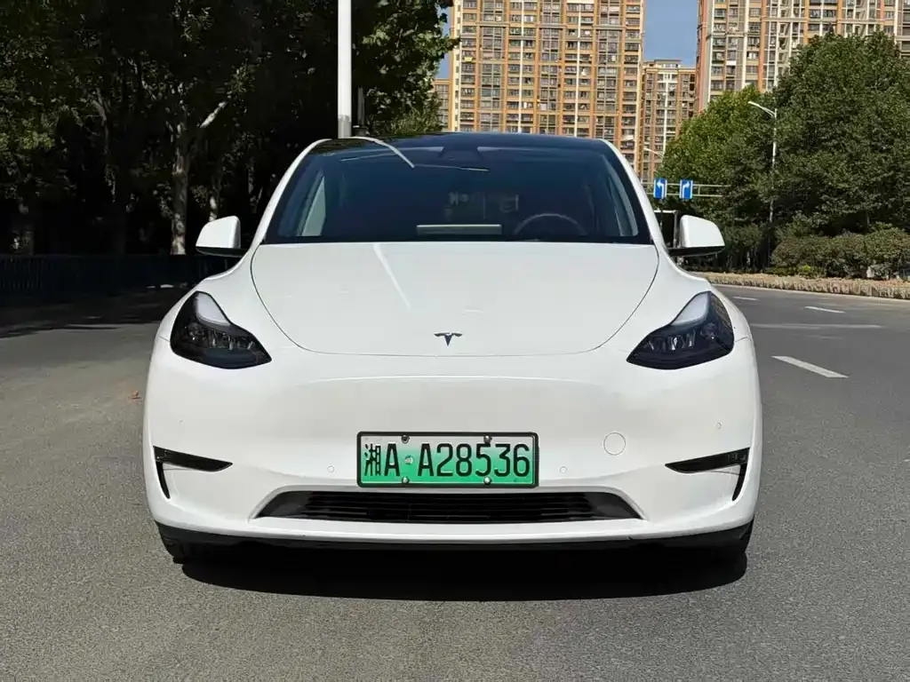 Tesla Model Y — фото 5