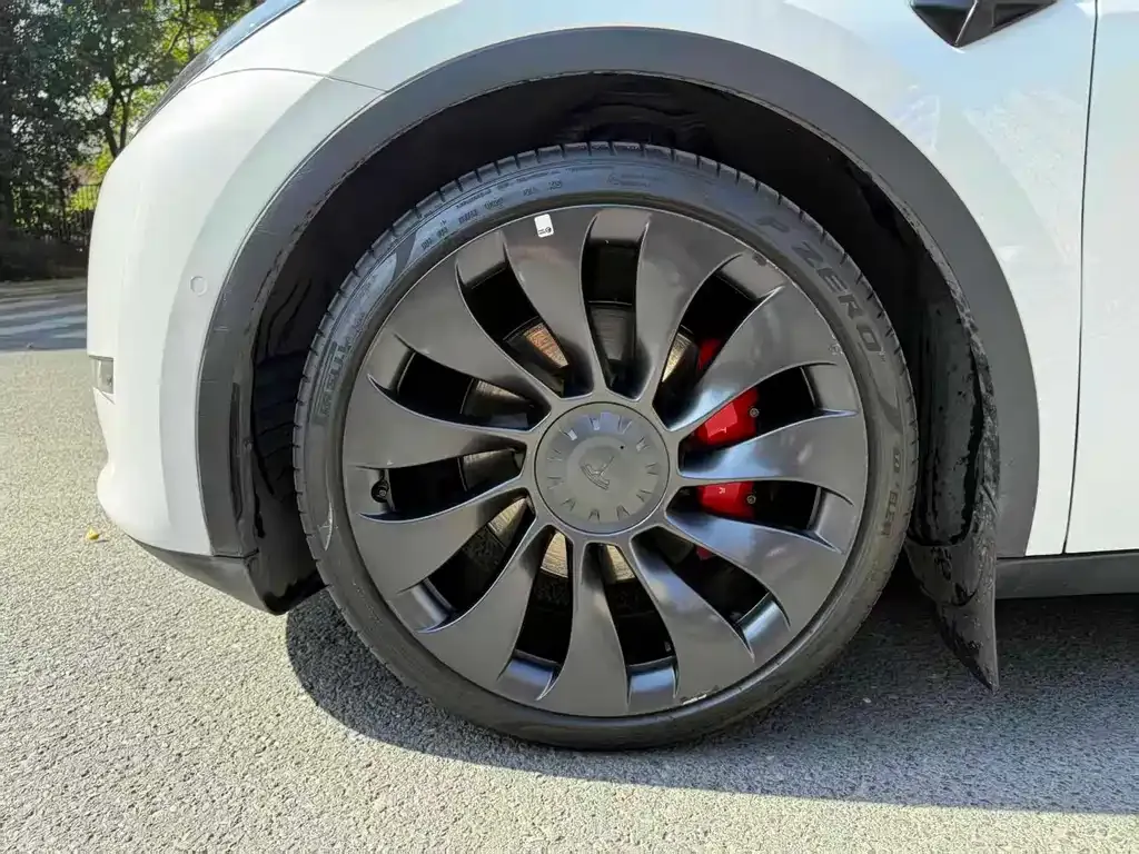 Tesla Model Y — фото 10