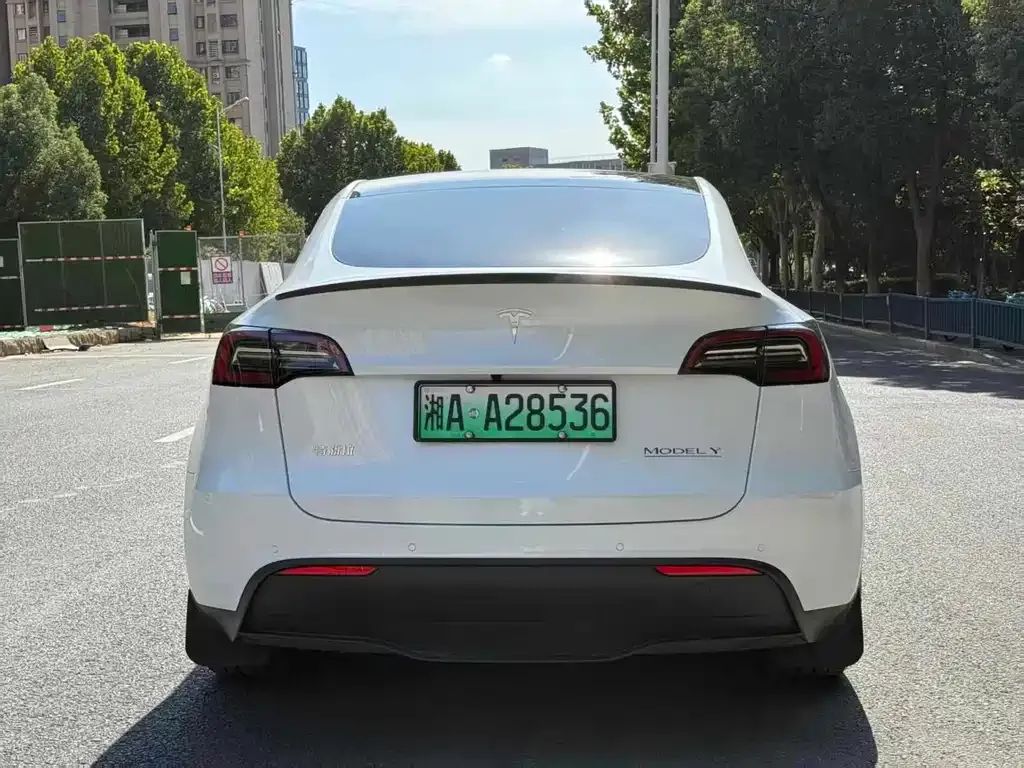 Tesla Model Y — фото 6