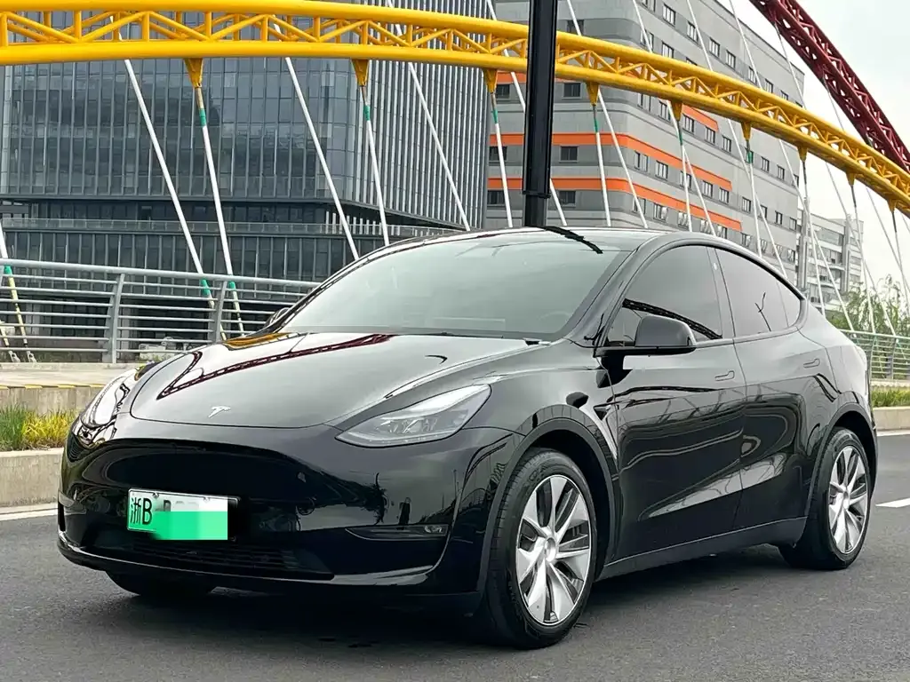 Tesla Model Y — фото 1