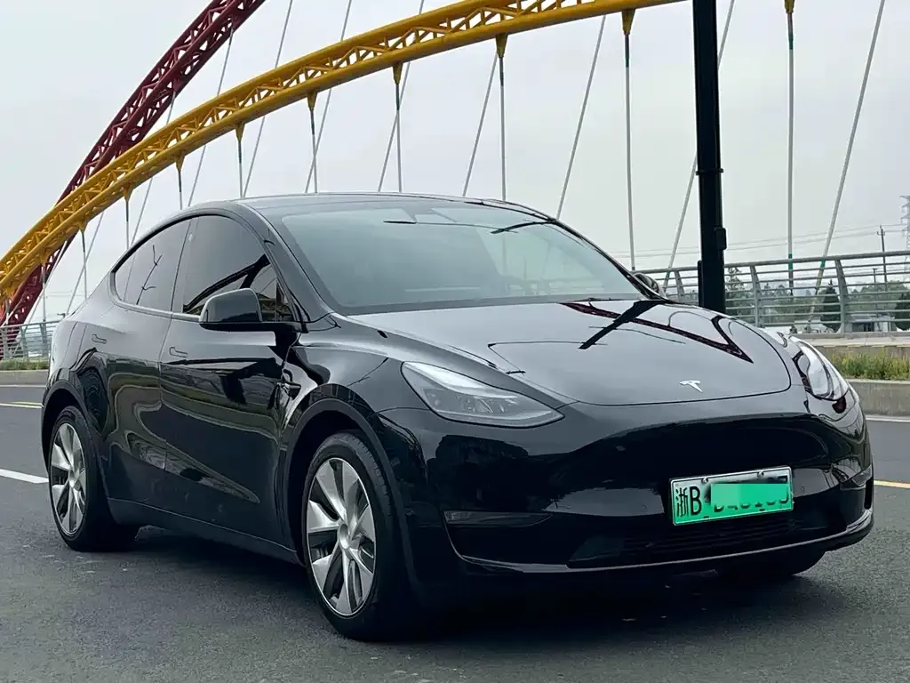 Tesla Model Y — фото 2
