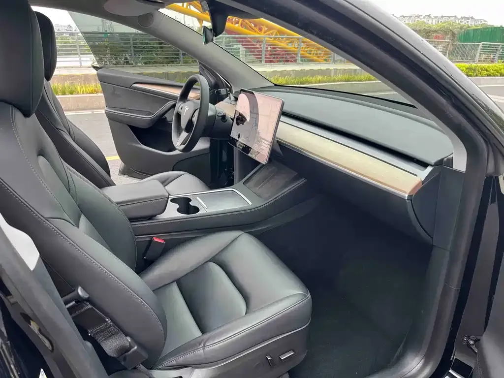 Tesla Model Y — фото 8