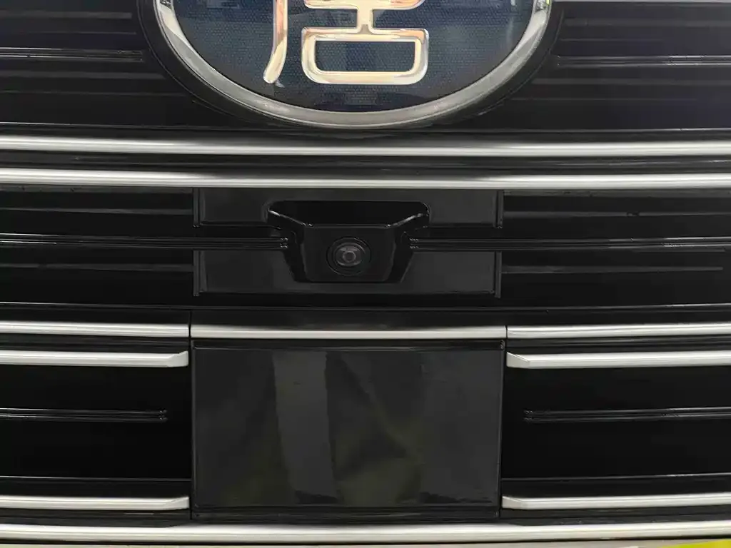 BYD Tang New Energy 2023 из CN, фото 2