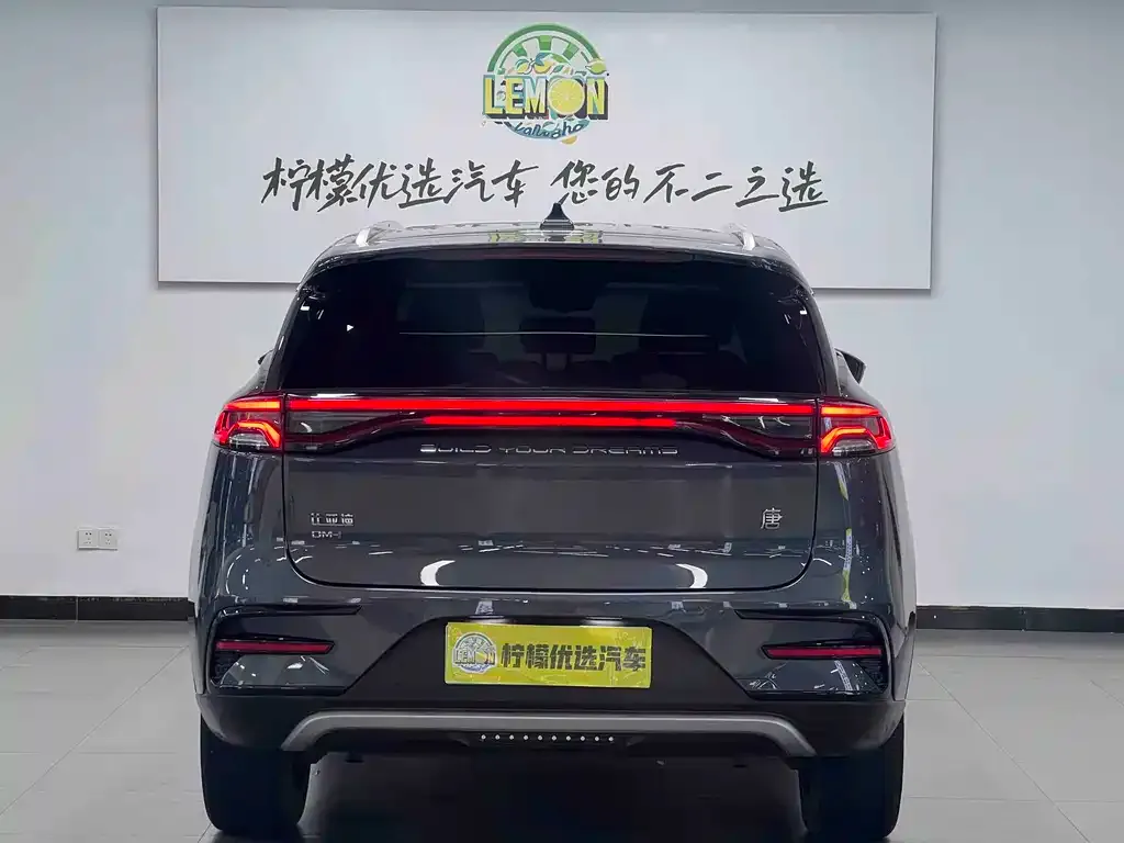 BYD Tang New Energy 2023 из CN, фото 3