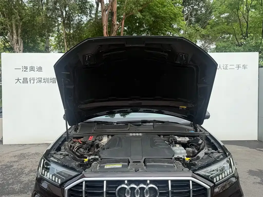 Audi Q7 2021 из CN, фото 9