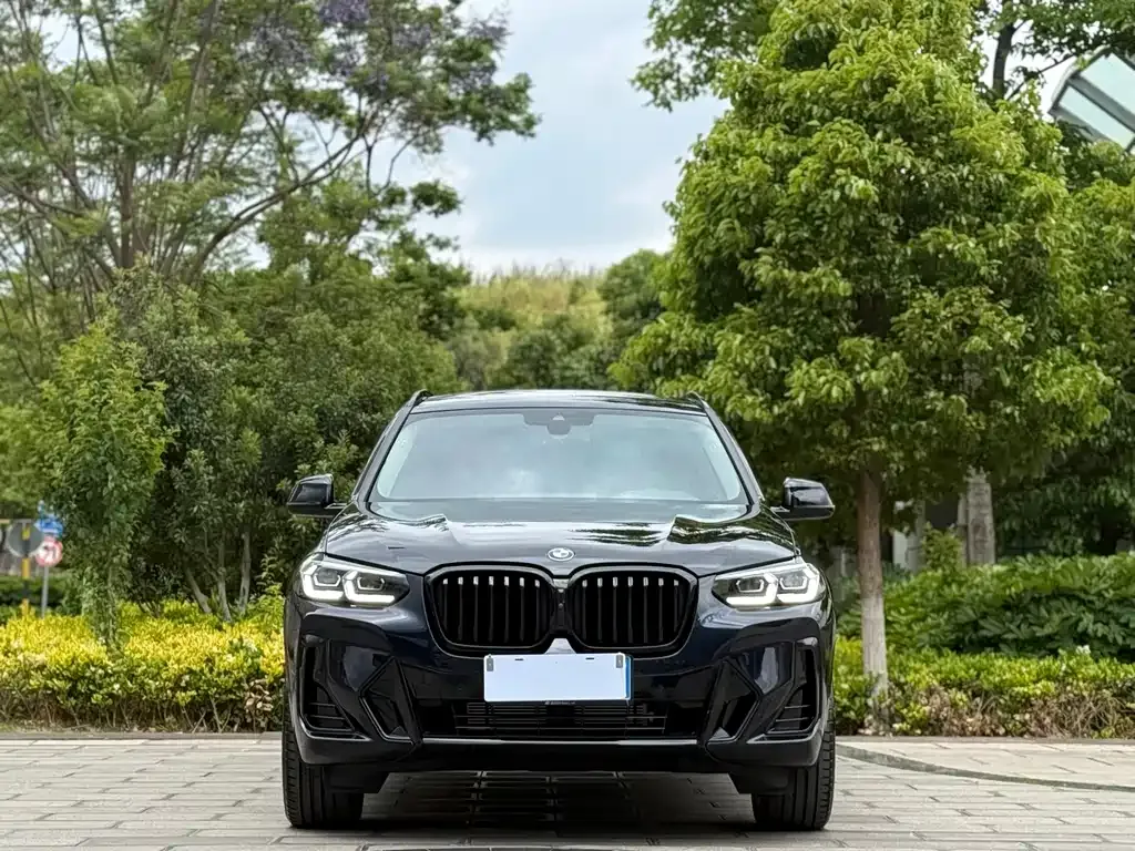 BMW X3 — фото 10