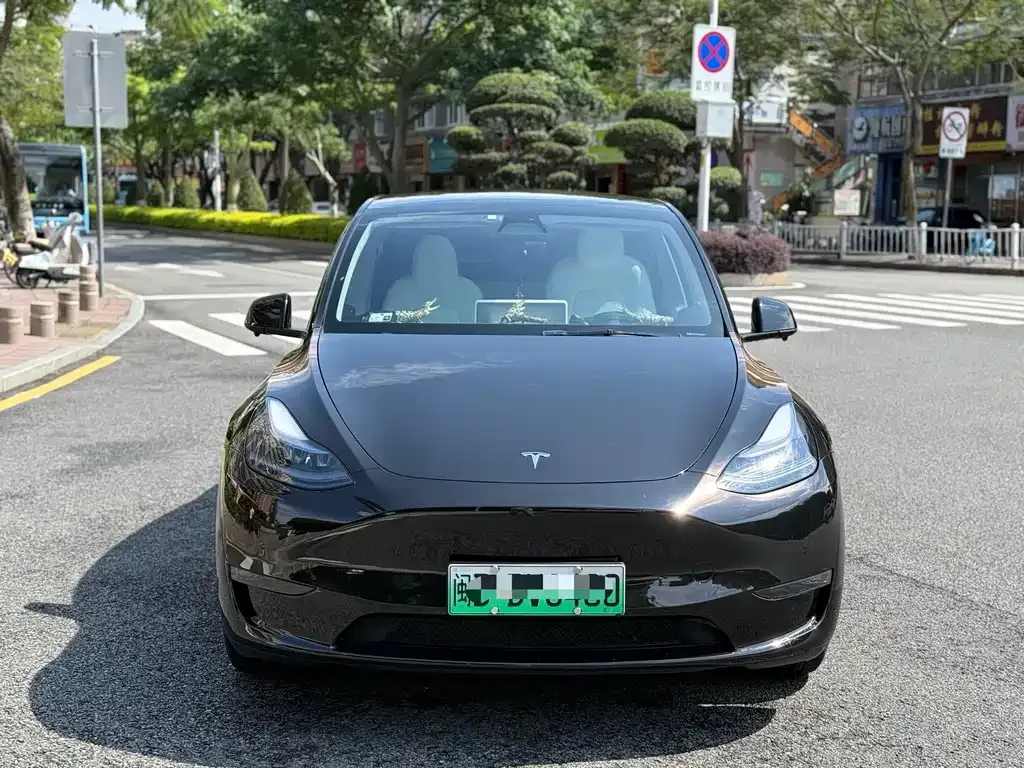 Tesla Model Y — фото 5