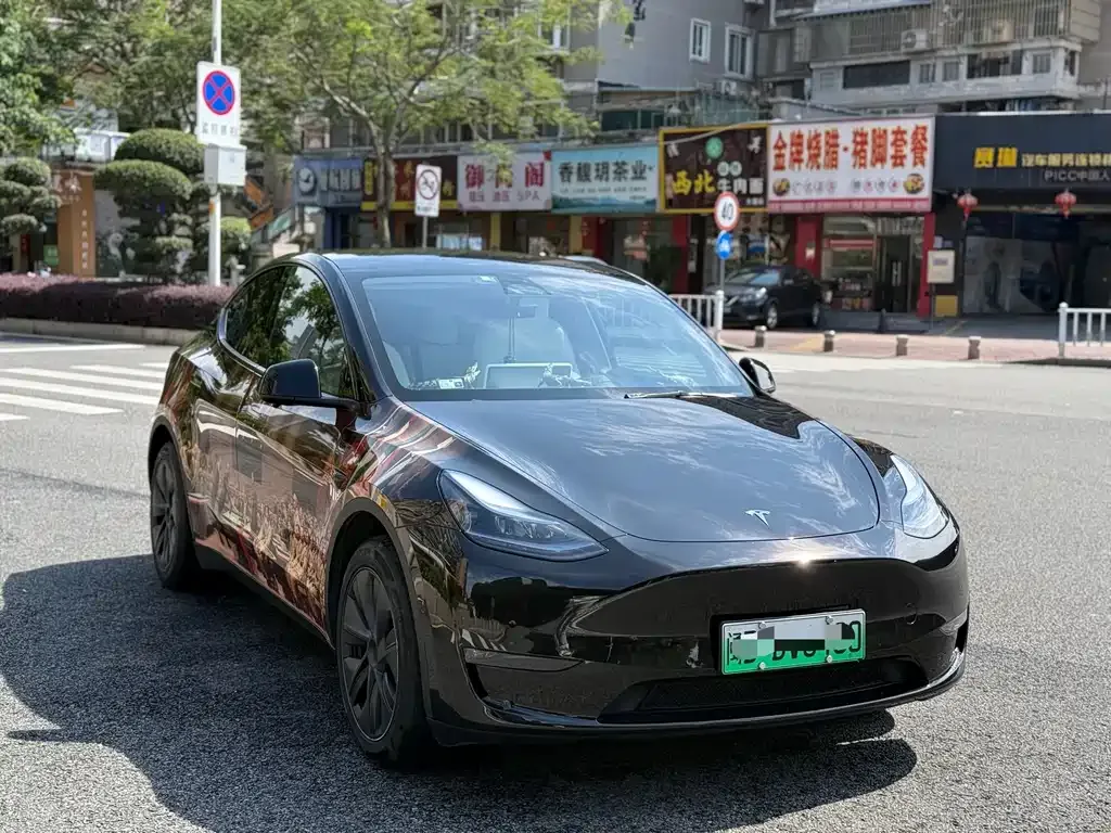 Tesla Model Y — фото 3