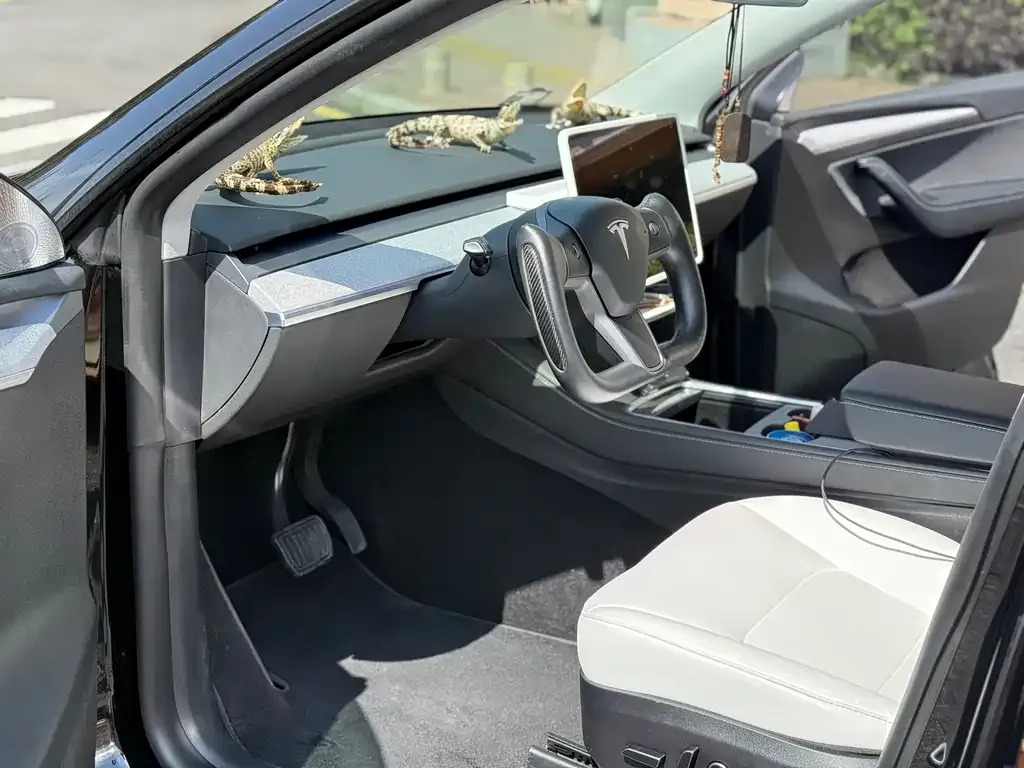 Tesla Model Y — фото 9