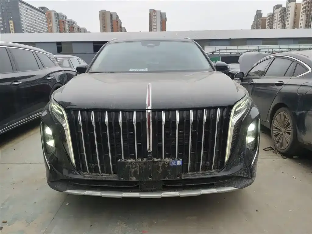 Hongqi HS7 PHEV 2024 из CN, фото 6
