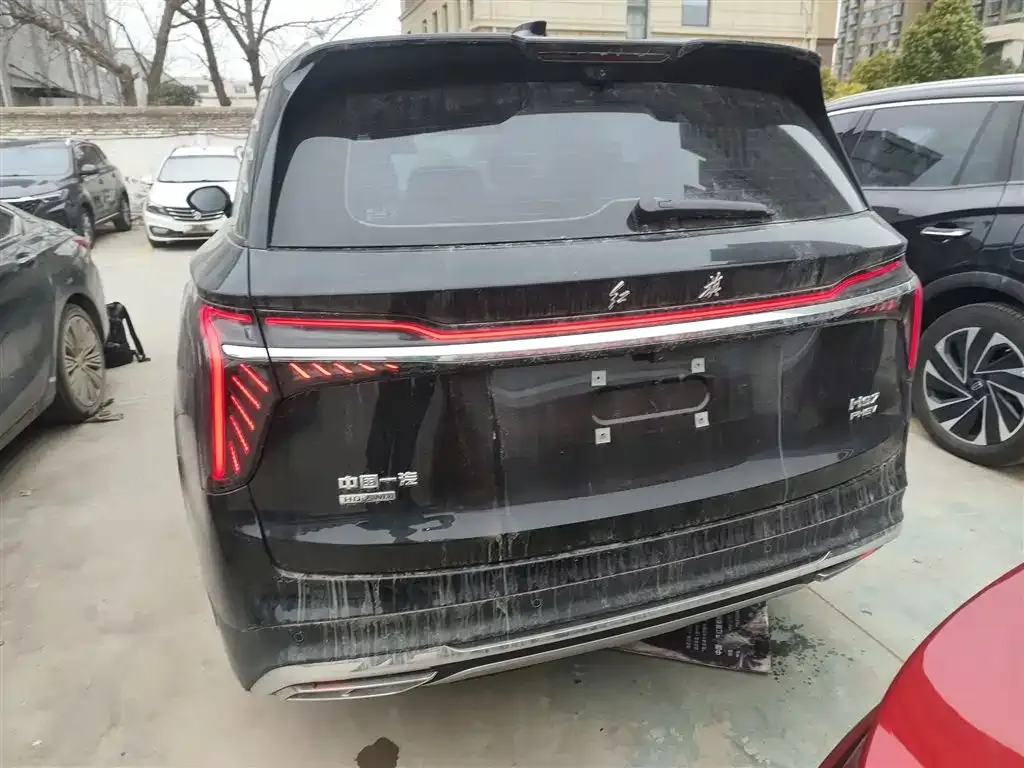 Hongqi HS7 PHEV 2024 из CN, фото 3