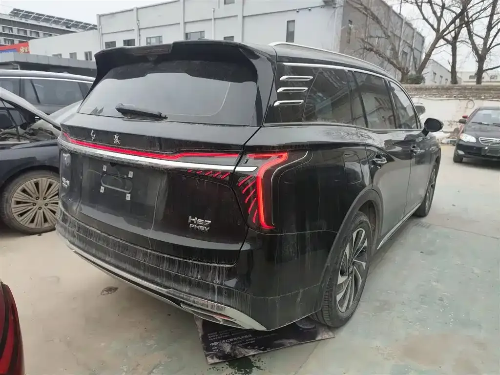 Hongqi HS7 PHEV 2024 из CN, фото 9