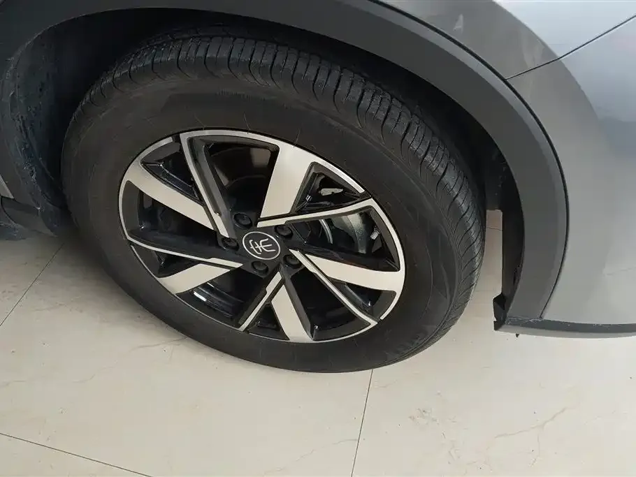 BYD Pro New Energy — фото 3
