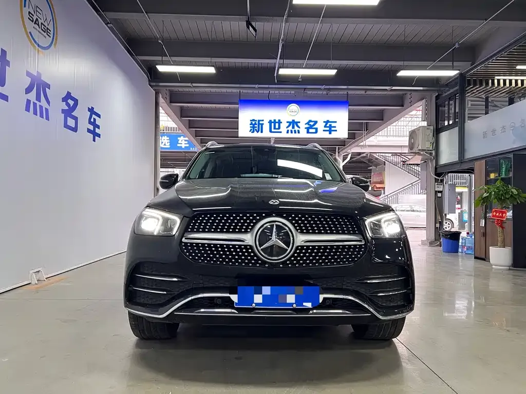 Mercedes-Benz 奔驰GLE(进口) — фото 5