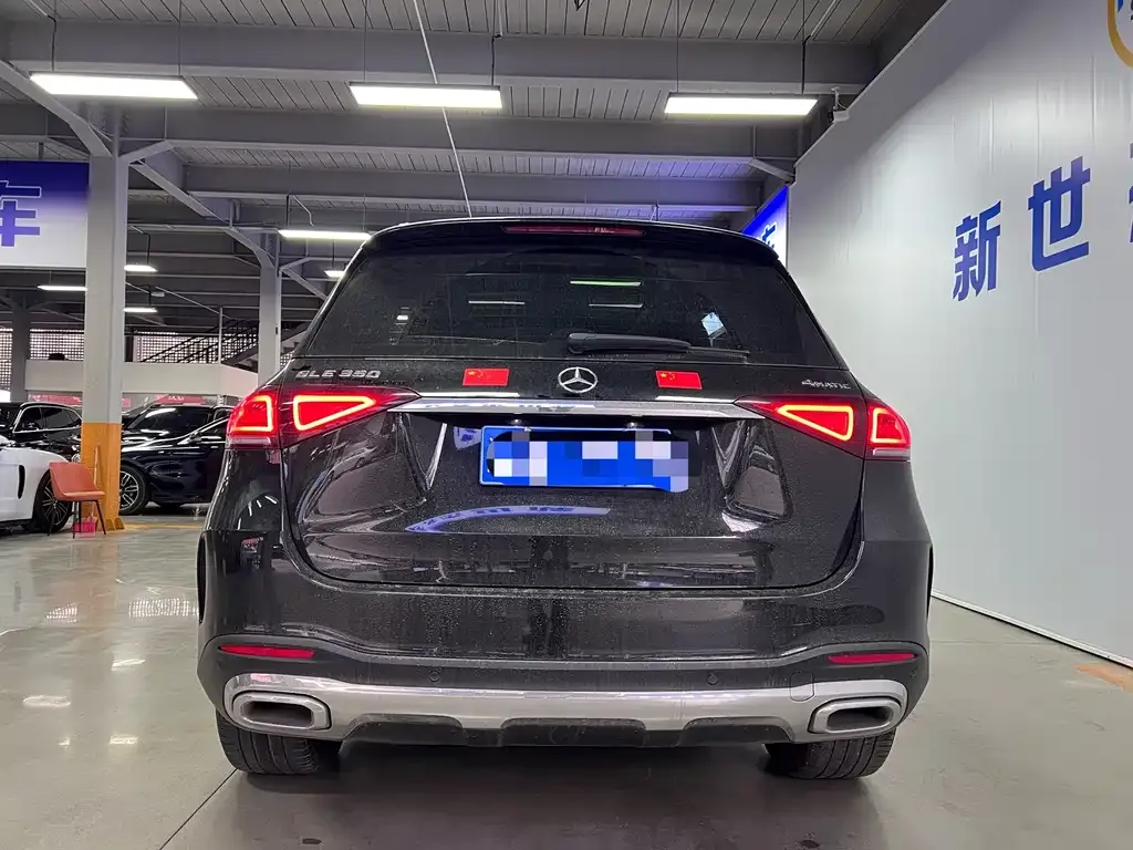 Mercedes-Benz 奔驰GLE(进口) — фото 8