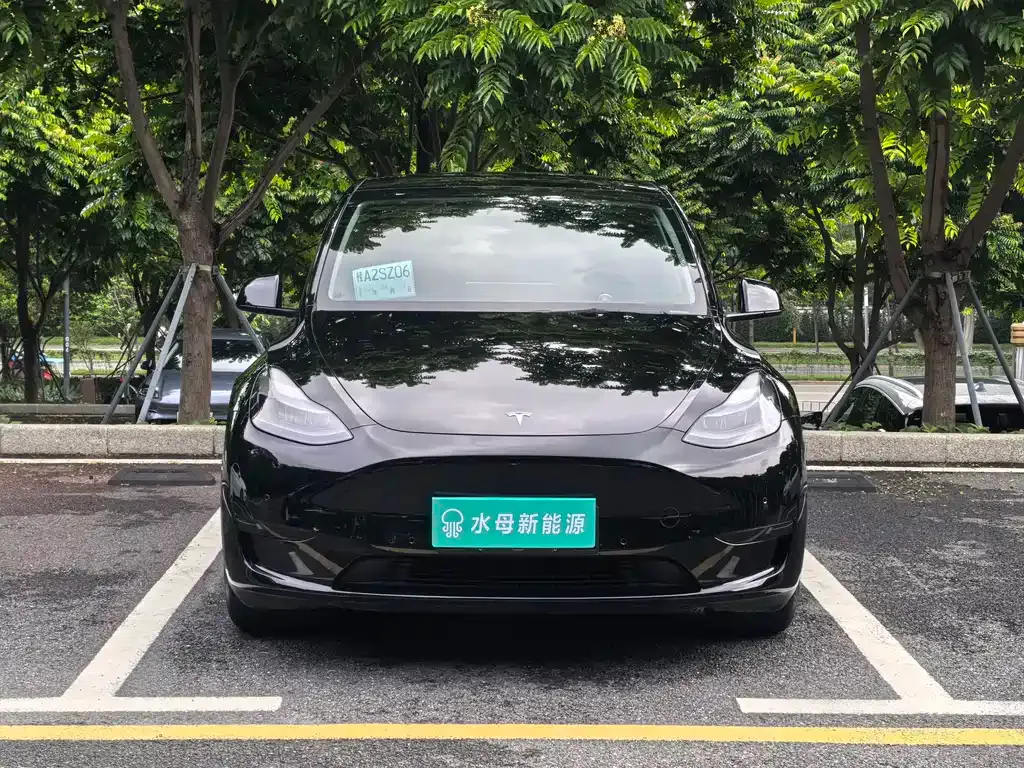 Tesla Model Y — фото 10