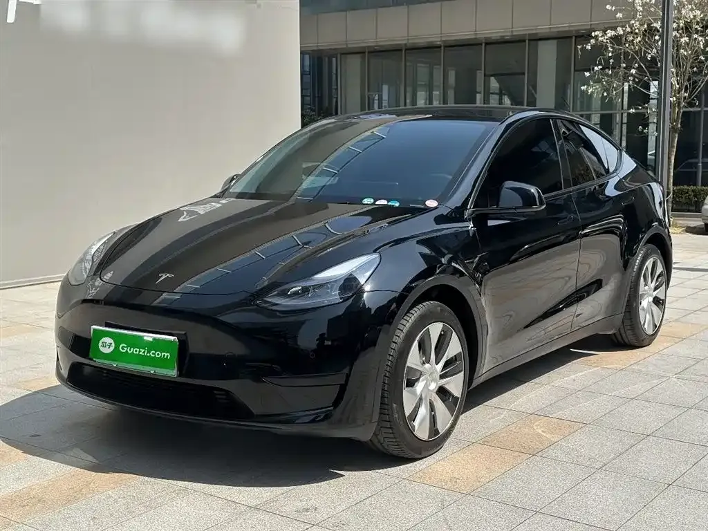 Tesla Model Y — фото 10