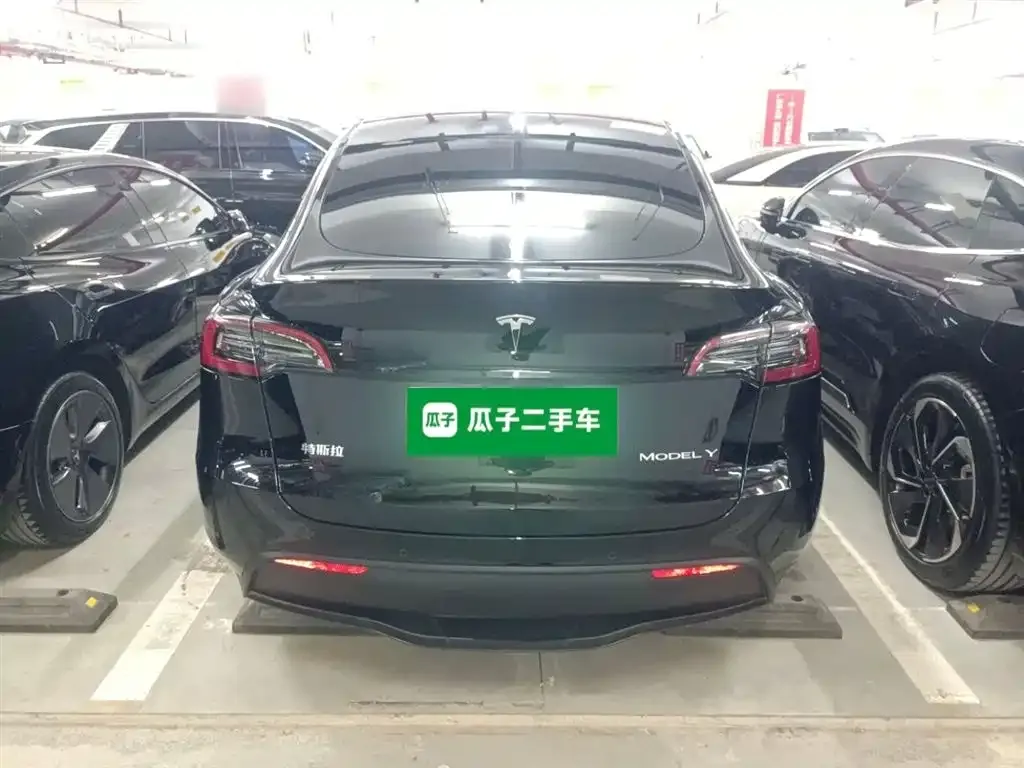 Tesla Model Y — фото 6