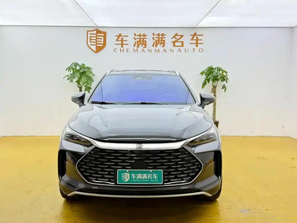 BYD Tang New Energy — фото 5