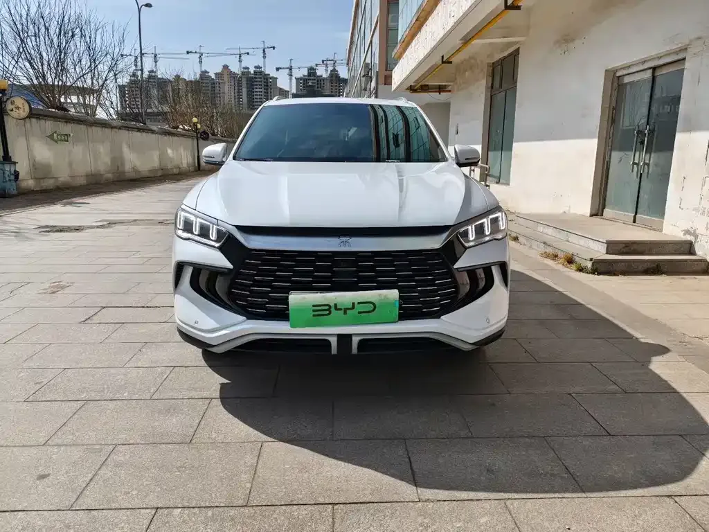 BYD Pro New Energy 2024 из CN, фото 4