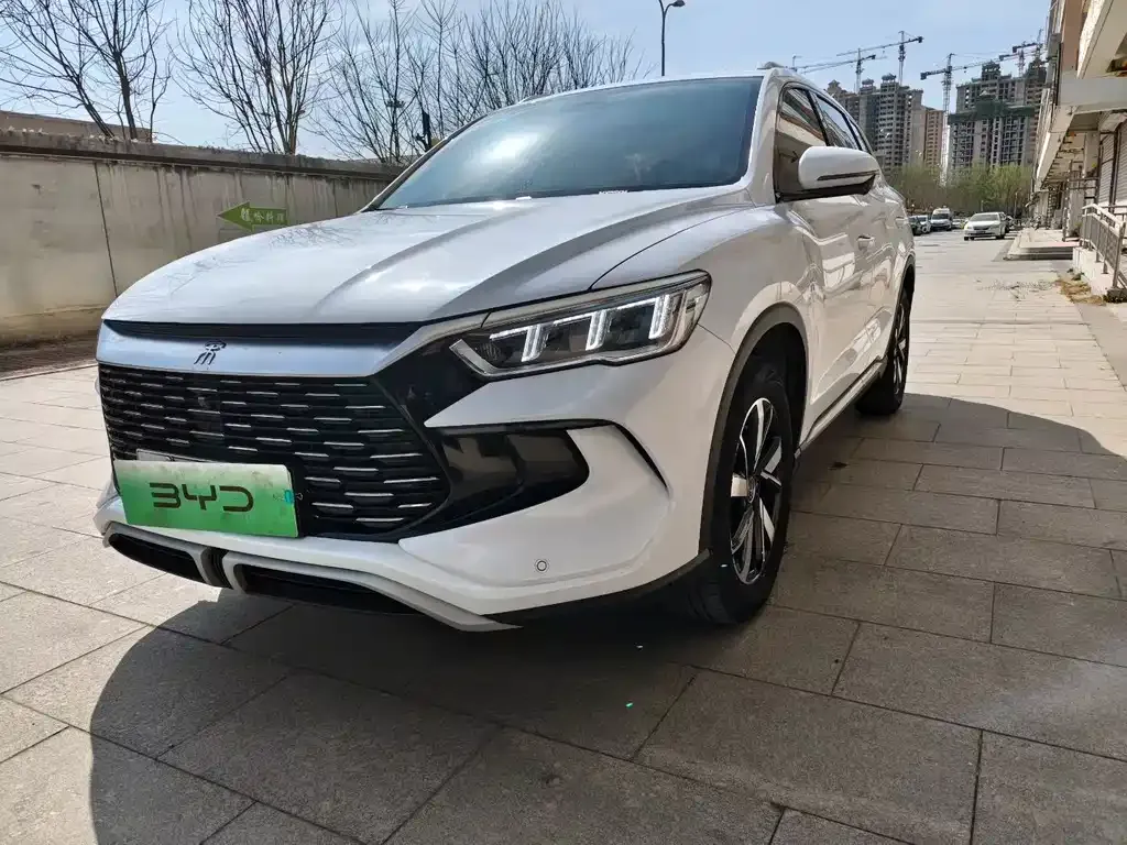 BYD Pro New Energy 2024 из CN, фото 3