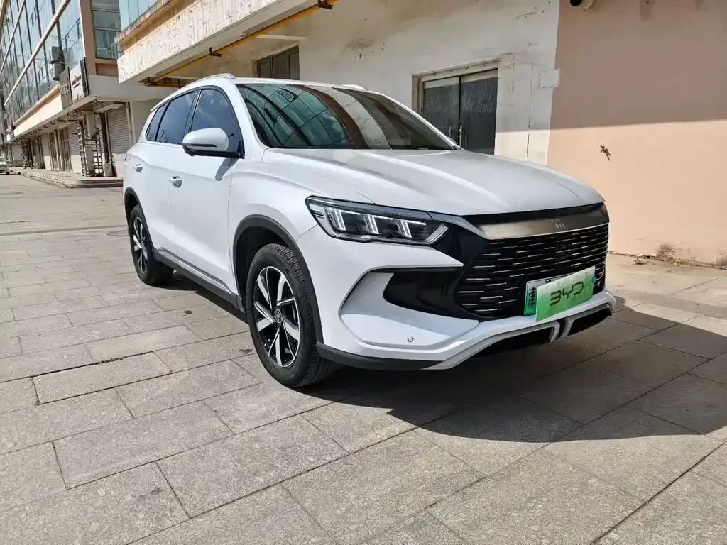 BYD Pro New Energy 2024 из CN, фото 5