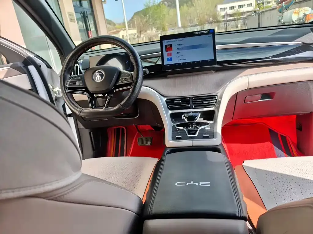 BYD Pro New Energy 2024 из CN, фото 7