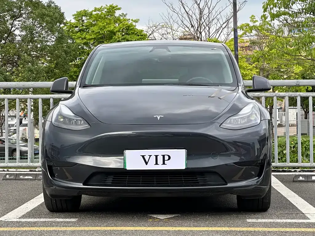 Tesla Model Y — фото 9