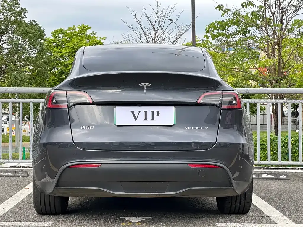 Tesla Model Y — фото 6