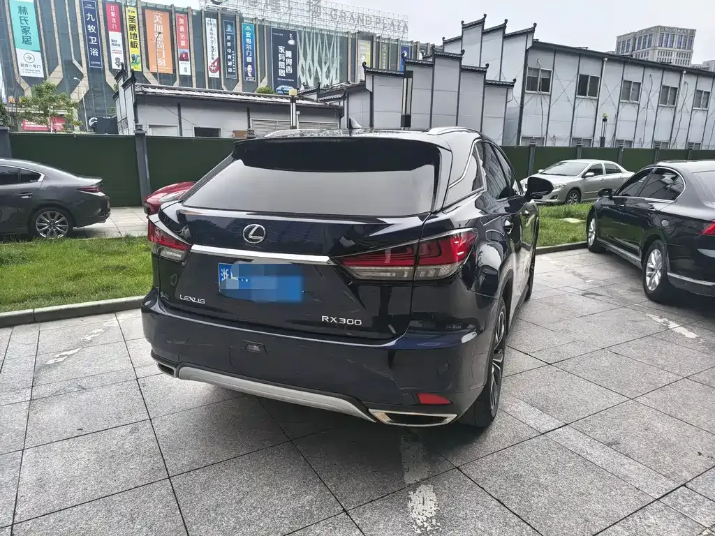 Lexus RX 2021 из CN, фото 8