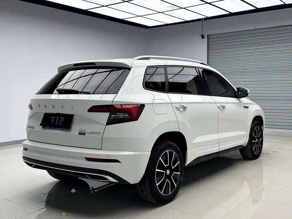 Skoda Karoq — фото 7