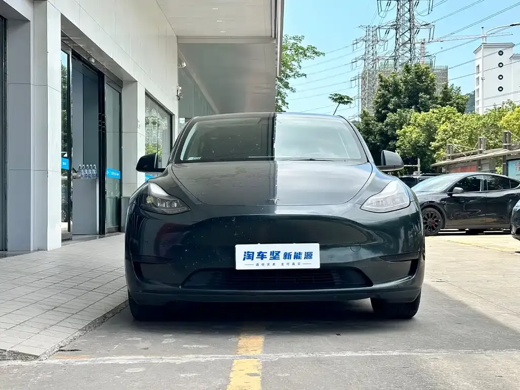 Tesla Model Y — фото 6