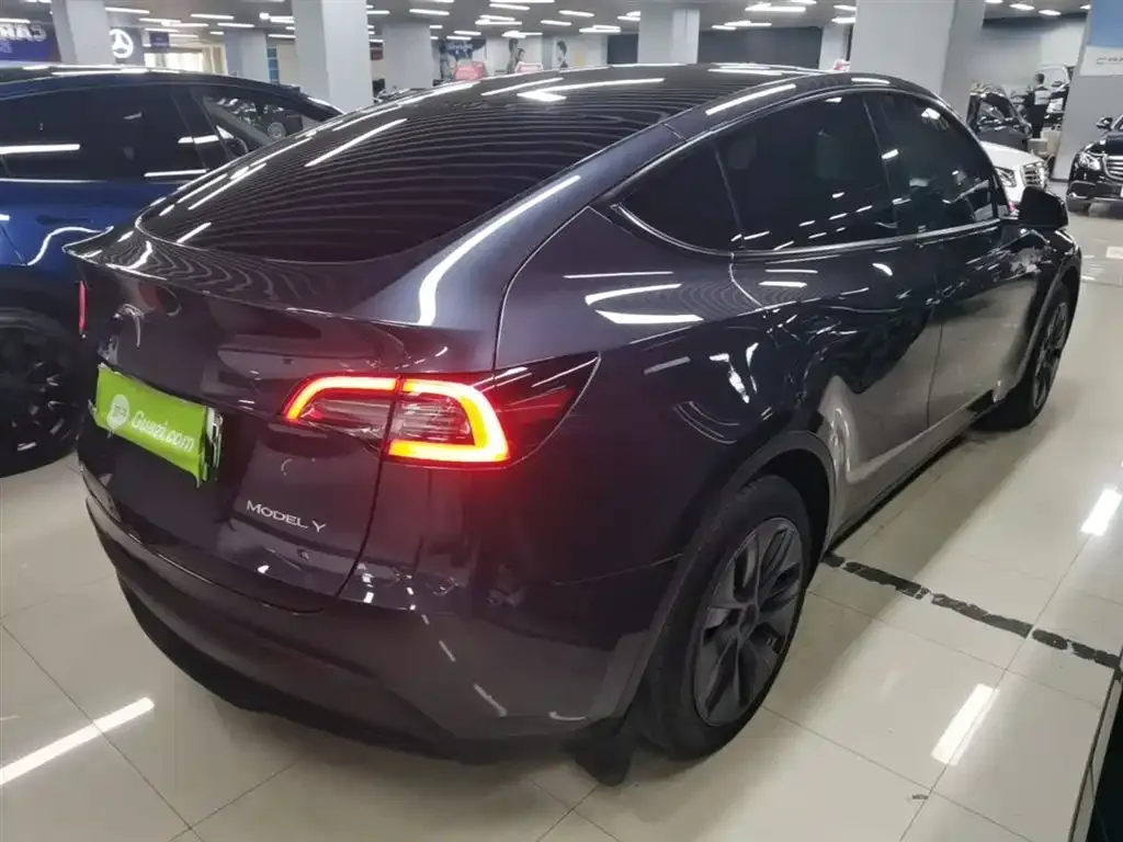 Tesla Model Y — фото 10