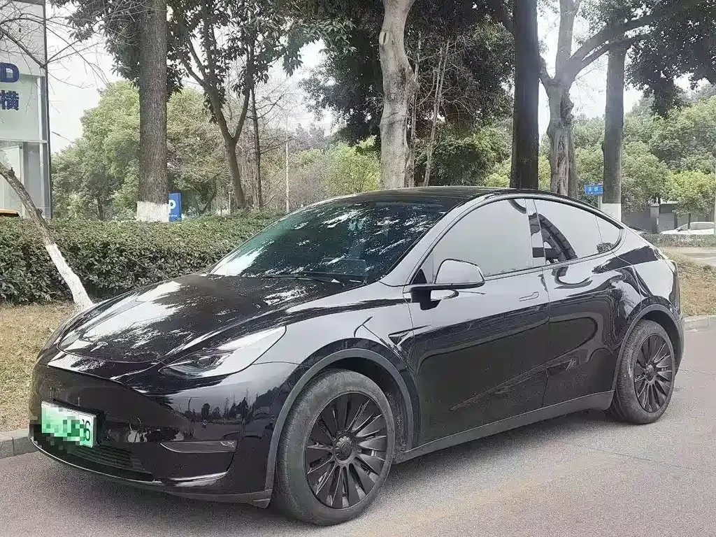 Tesla Model Y — фото 1