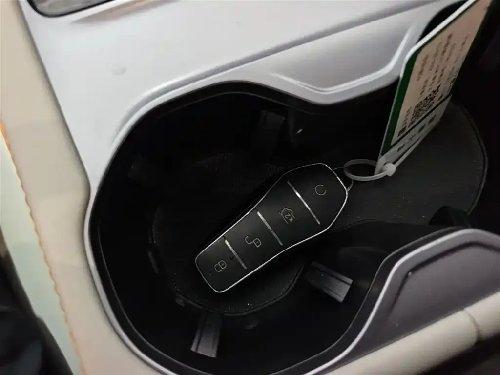 BYD PLUS New Energy — фото 2