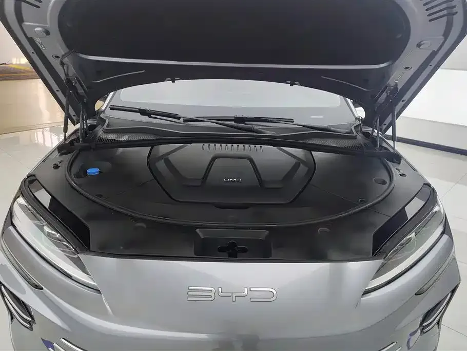 BYD PLUS New Energy — фото 4