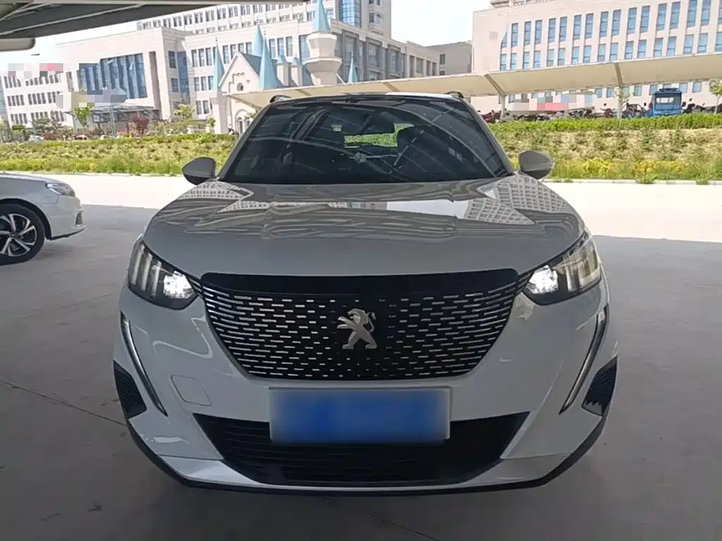 Peugeot 2008 2023 из CN, фото 8