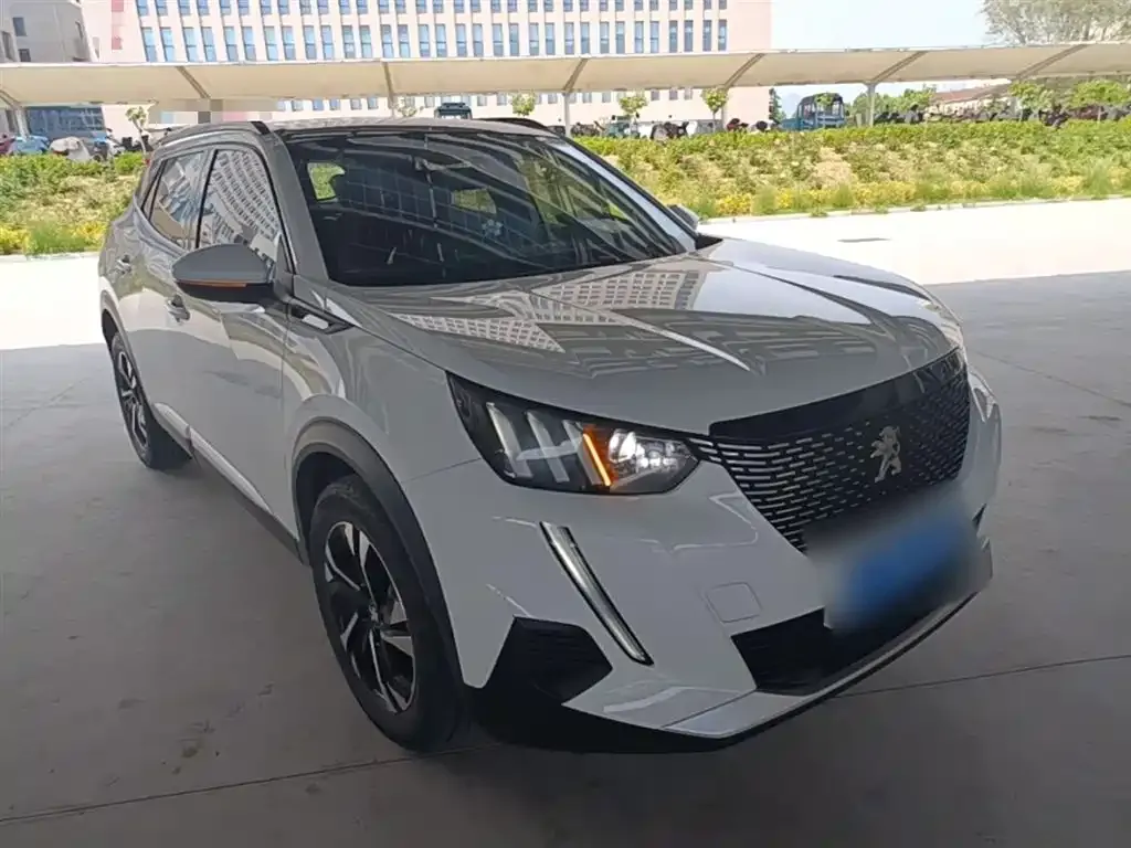 Peugeot 2008 2023 из CN, фото 5