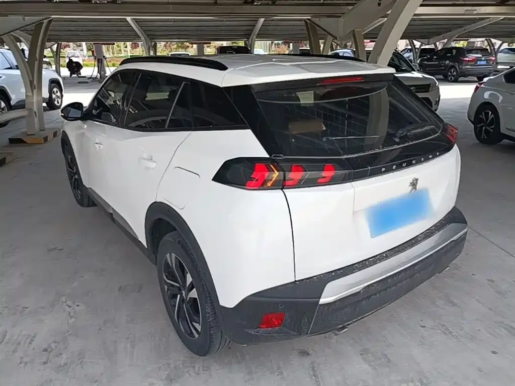 Peugeot 2008 2023 из CN, фото 6