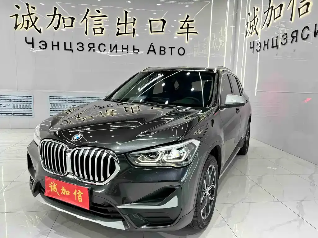 BMW X1 — фото 1