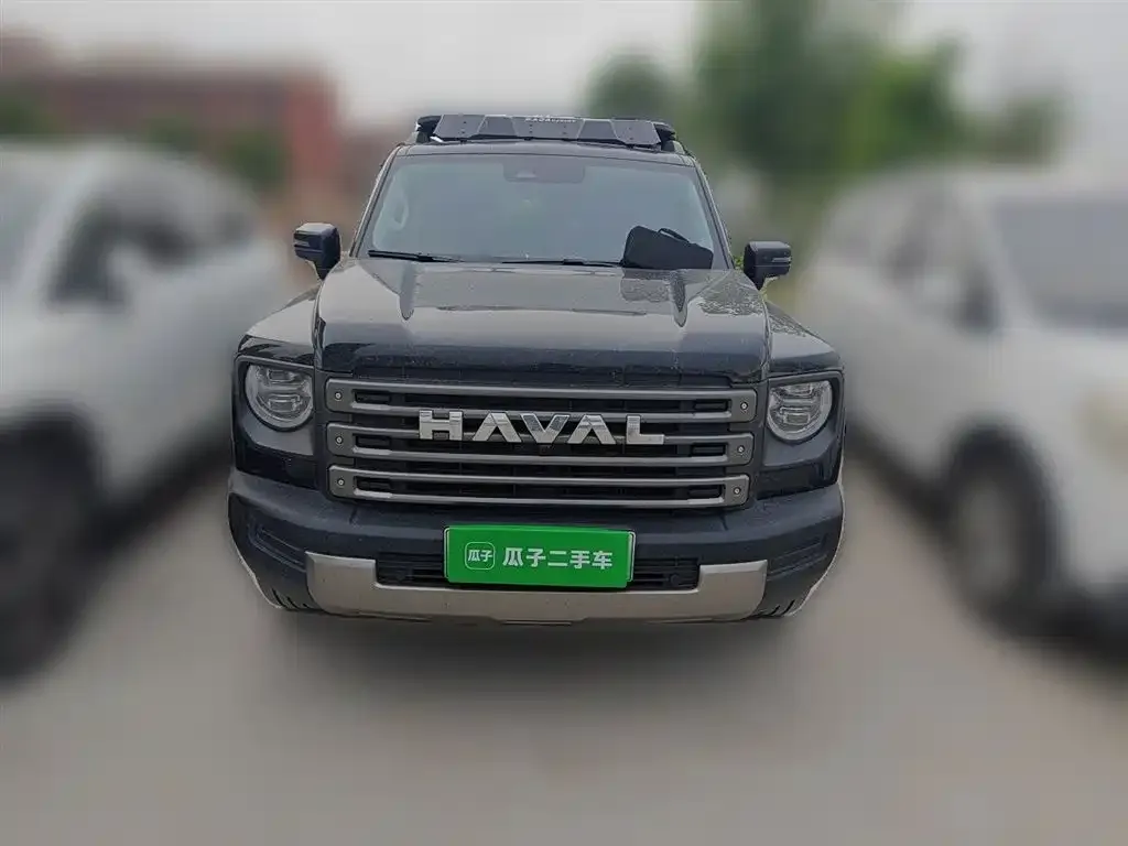 Haval Menglong New Energy 2025 из CN, фото 5