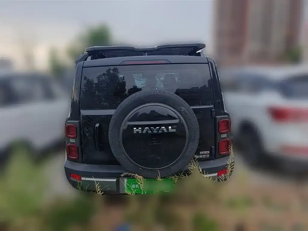 Haval Menglong New Energy 2025 из CN, фото 8