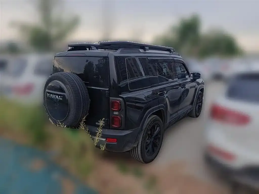 Haval Menglong New Energy 2025 из CN, фото 3