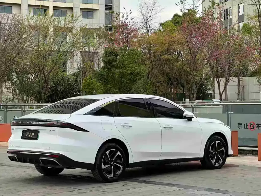 Geely Galaxy L6 — фото 5