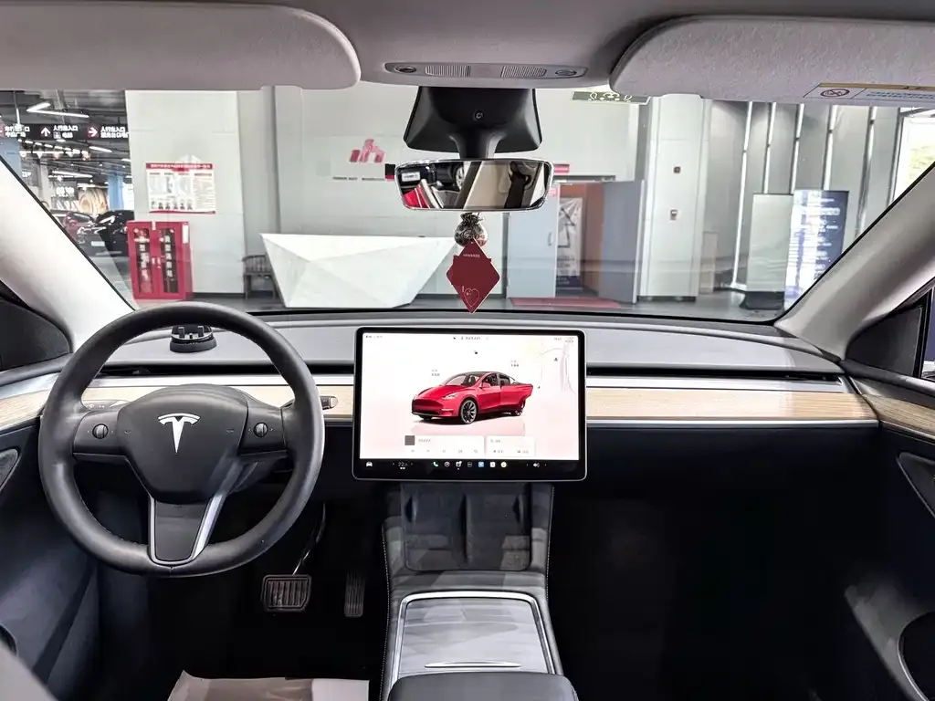 Tesla Model Y — фото 9