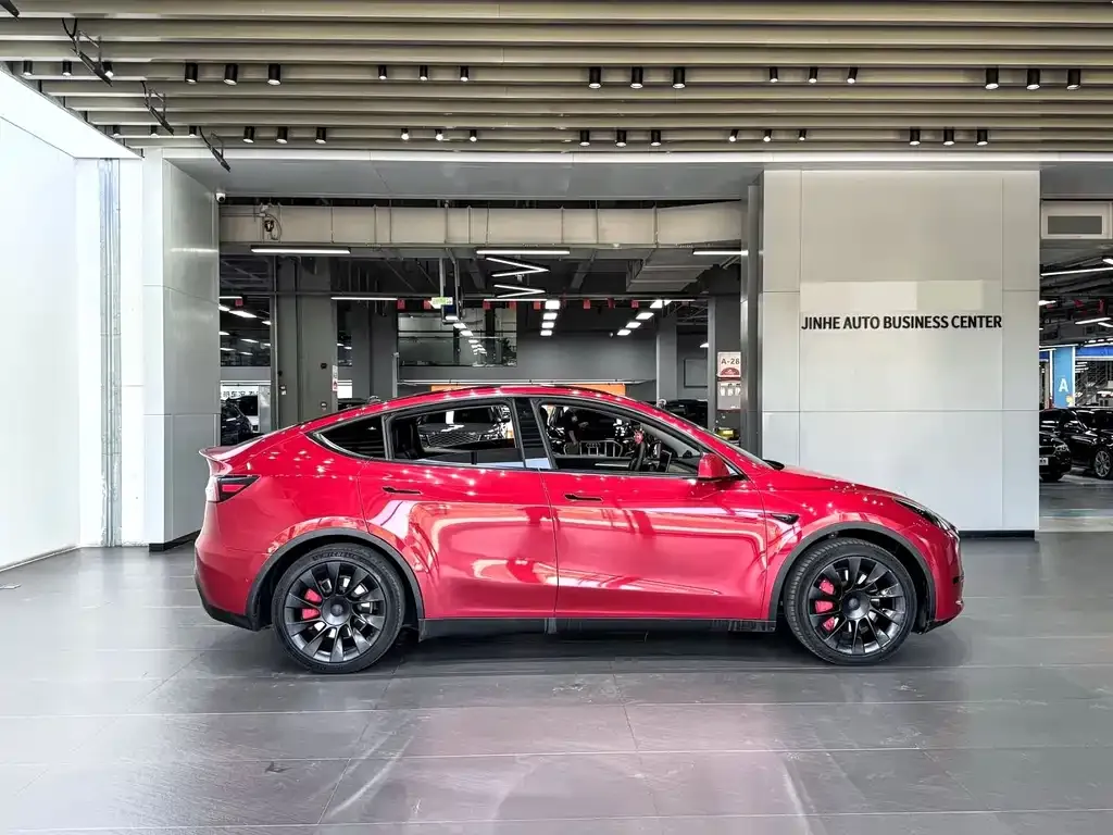Tesla Model Y — фото 10