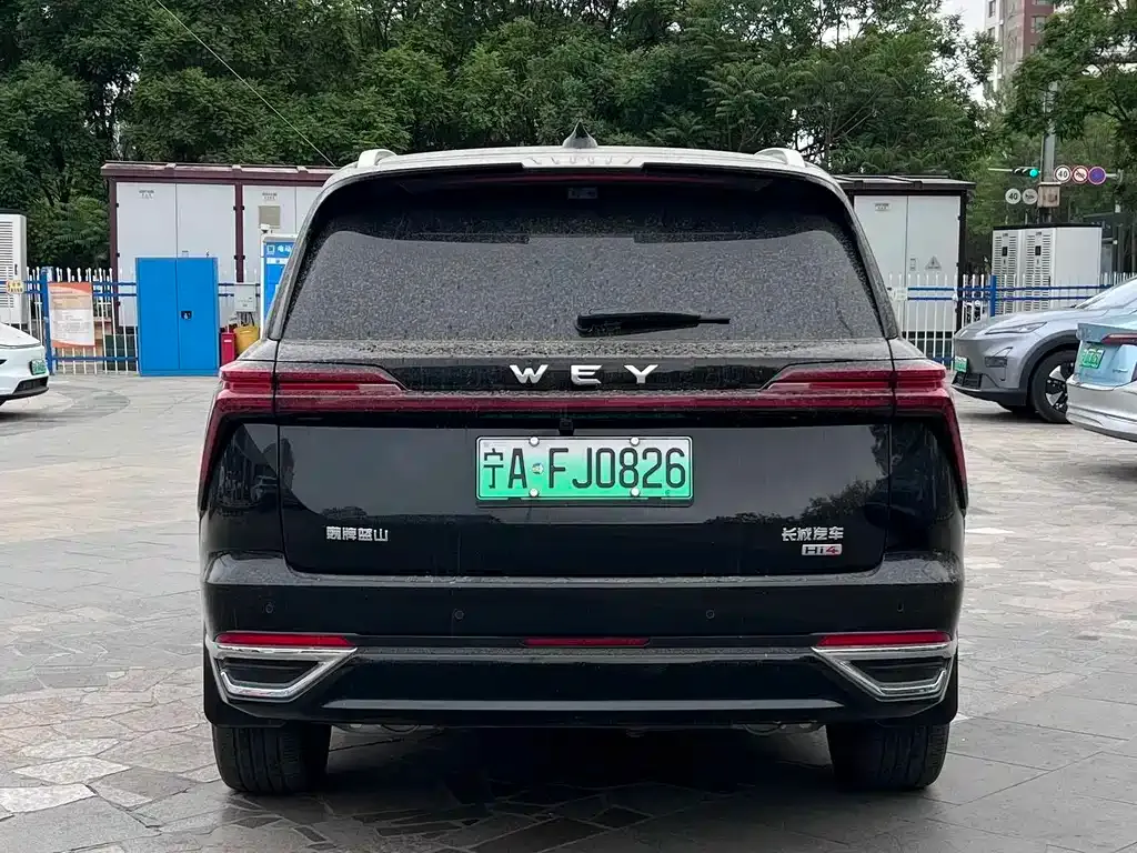 Wey Lanshan — фото 7