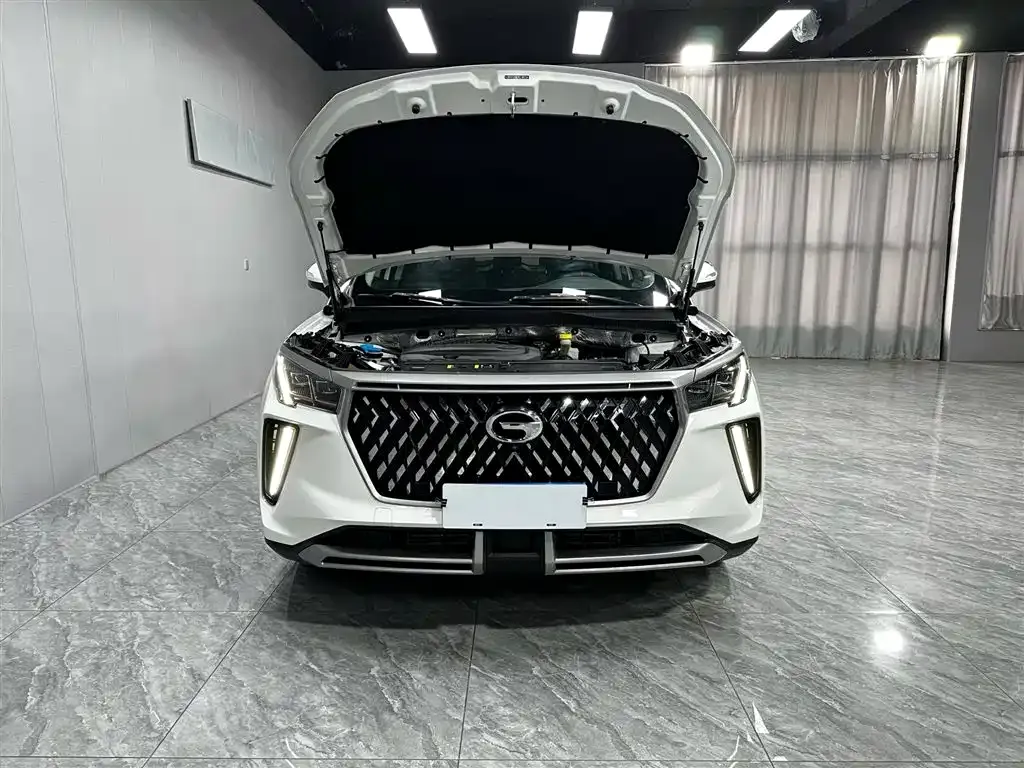 GAC Motor GS4 Plus 2022 из CN, фото 7